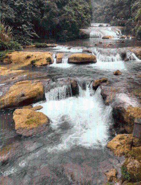 春雨直播app